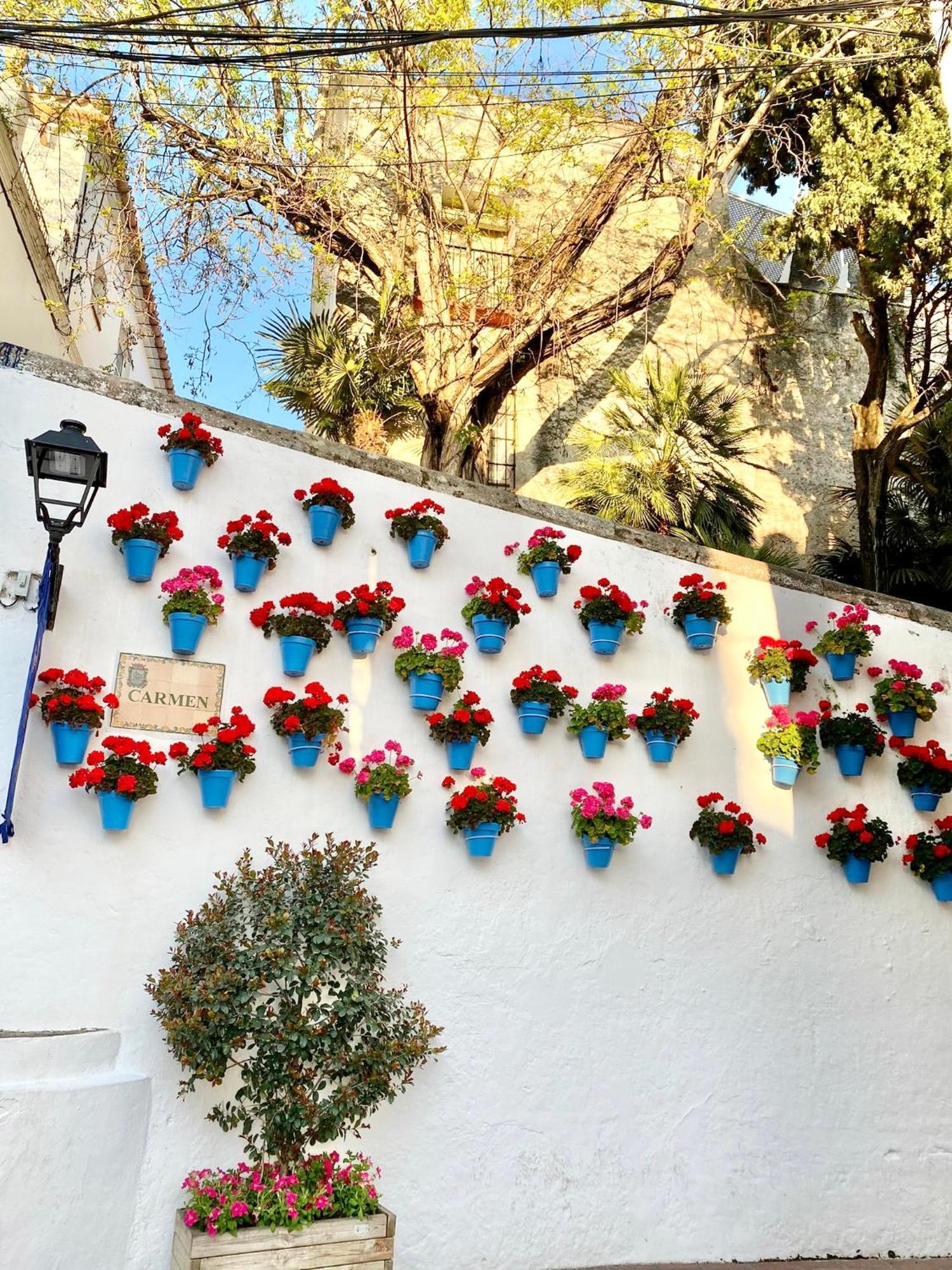 Beachfront - Eaw Homes * Marbella