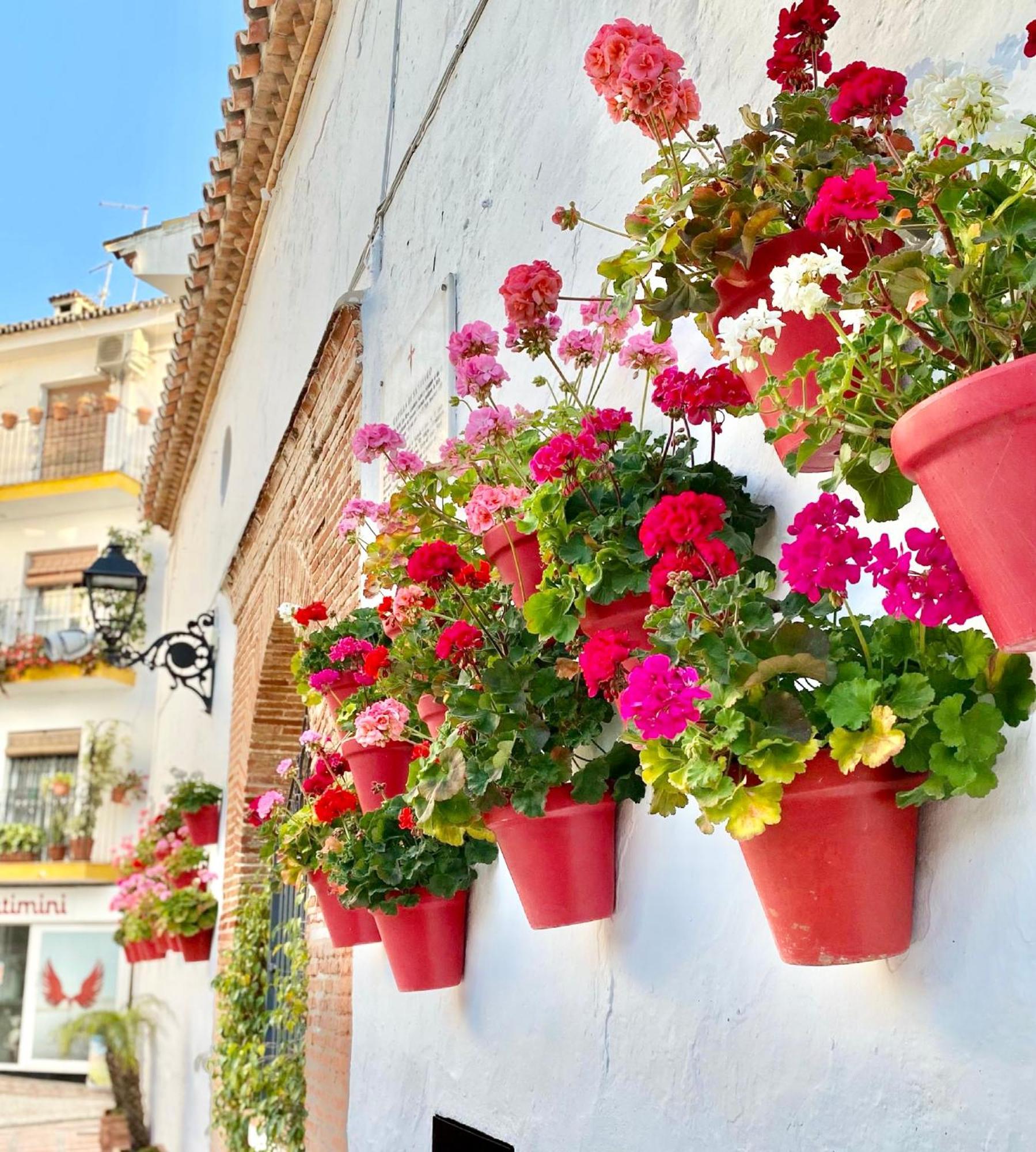 Apartment Beachfront - Eaw Homes Marbella